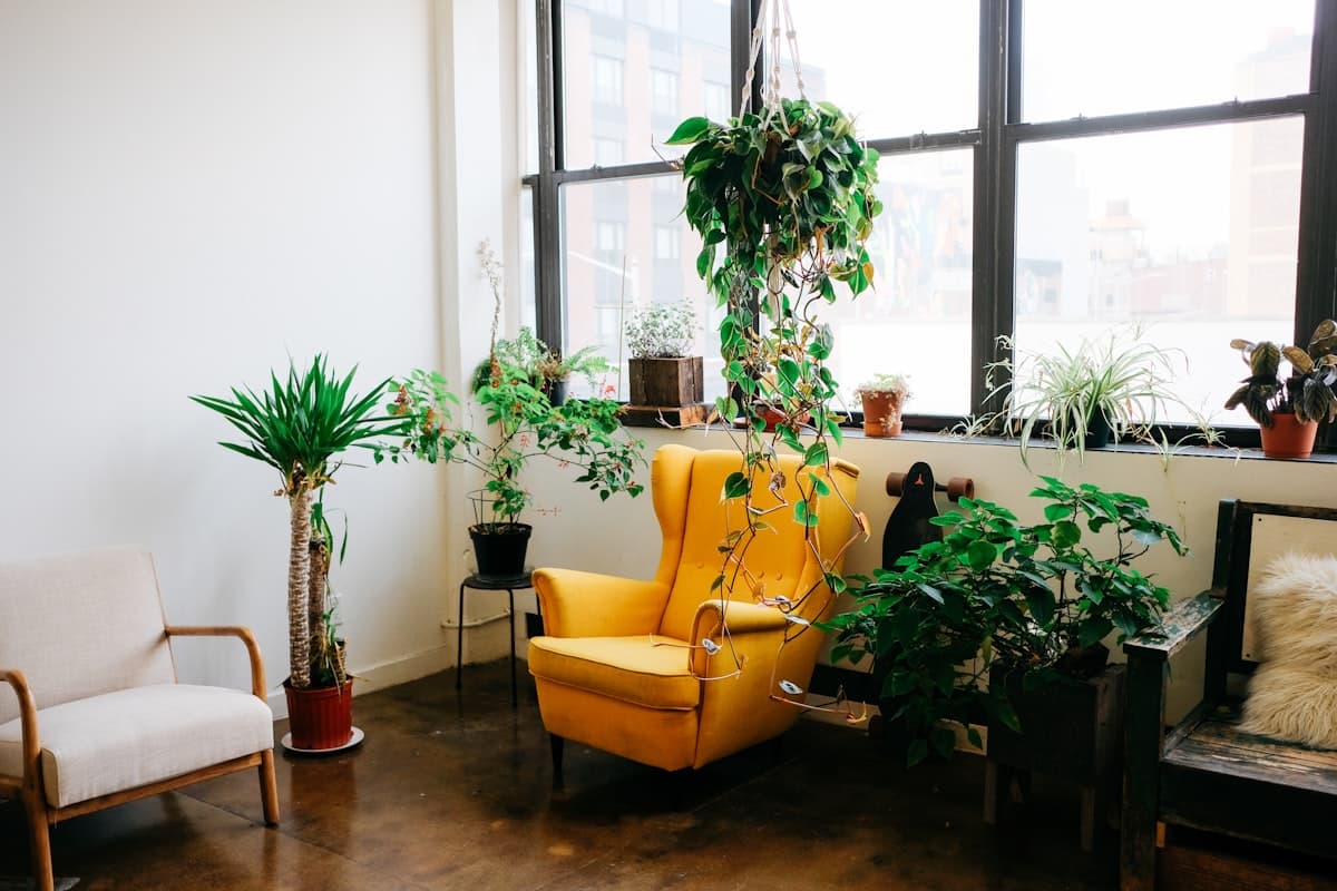 Walk-in (In-Person)